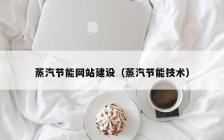 湖南蒸汽节能网站建设（蒸汽节能技术）